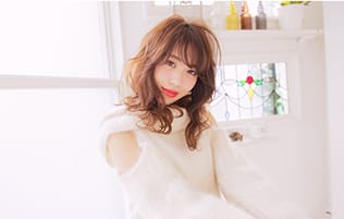 Style gallery